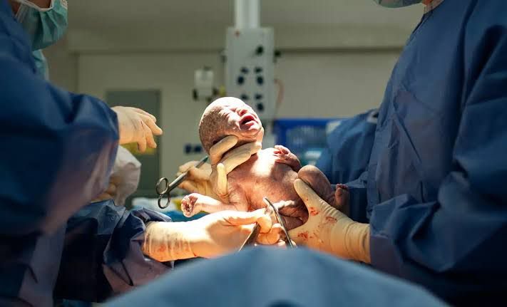 Médico Cirujano Partero